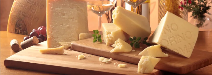 <b>CHEESE & DAIRY</b>